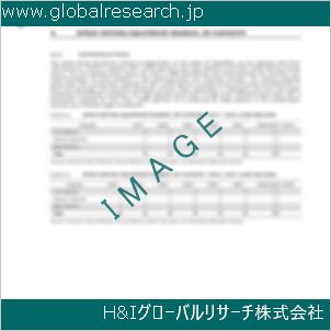 グローバルリサーチ調査資料のイメージ